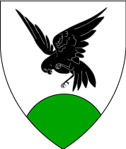 Arms Image